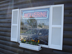 Wolverine window / Fenêtre Wolverine - Plattsburg NY. USA - 14 juin 2011.