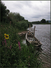 Fischerboote an der Weser
