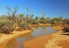 Billabong. Muloorina. South Australia