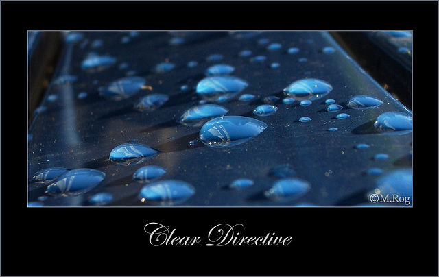 Clear Directive
