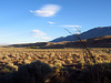 US 395 in Owens Valley (0005)