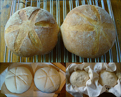 Panmarino – Italian Rosemary Bread