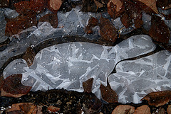 Heißsporn  im   iceporn