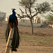 Rajasthan Peacock 7am on fence