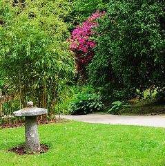 Powerscourt Japanese Gardens