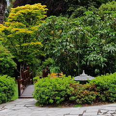 Powerscourt Japanese Gardens