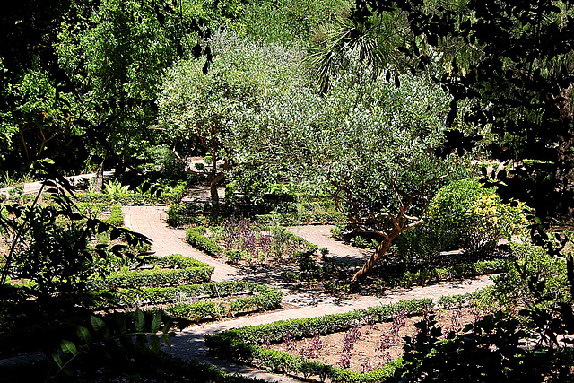 jardin des aromatiques, avec des arbousiers