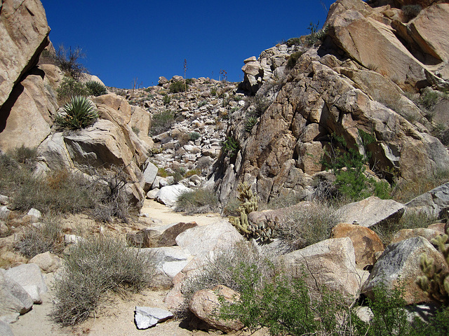 Above Dry Waterfall (0710)