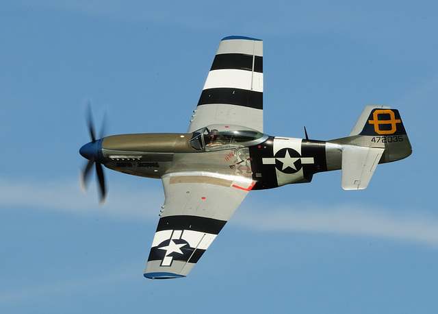 P-51D Mustang (c)