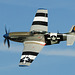 P-51D Mustang (c)