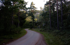 the road [Tjøm]