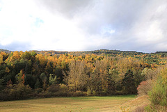 Vallée de la Laussonne en octobre (2)