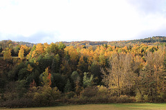 Vallée de la Laussonne en octobre