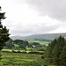 Dartmoor 110903