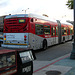 Great L.A. Walk (1593) 704 Bus To Santa Monica