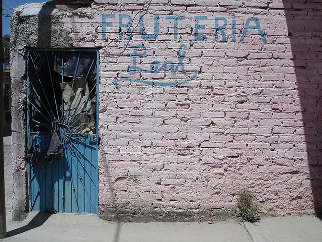 Bricks wall fruteria / Fruiterie en briques / Fruitgrocer behind bricks