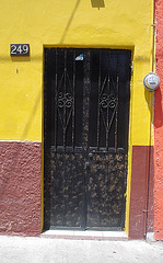Porte numéro 249 / Door  number 249 - 23 mars 2011
