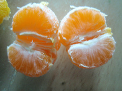 mandarine satsuma PB183839