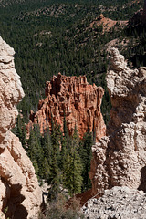 Bryce Canyon NP - Ponderosa Point SOOC