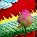 Temple lotus for Andy