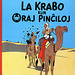 La Krabo kun oraj pinĉiloj / Le crabe aux pinces d'or