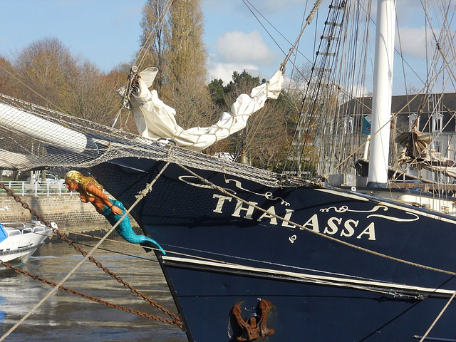 thalassa ( navire hollandais )