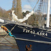 thalassa ( navire hollandais )