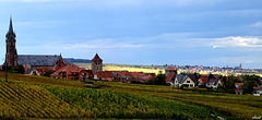 Dambach-la-Ville et Epfig au fond
