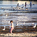 Gulls and kids