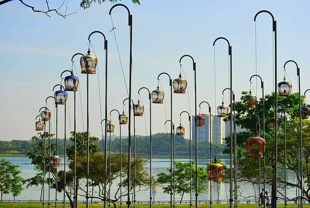 Singapore...Sunday bird walks