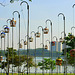 Singapore...Sunday bird walks
