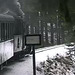 JHMD Steam Trip, Very Short Excerpt, Jihočeský kraj, Bohemia (CZ), 2011