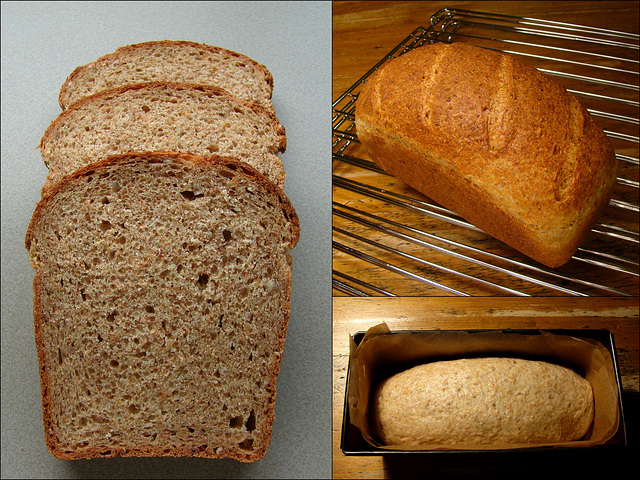WGB Challenge #28: Whole Wheat and Sprouted Grain Bread