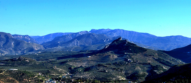 Sierras de olivos. Jaén