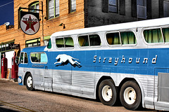 The Strayhound Bus