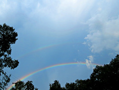 look up ! -- all the colors of a Rainbow ..