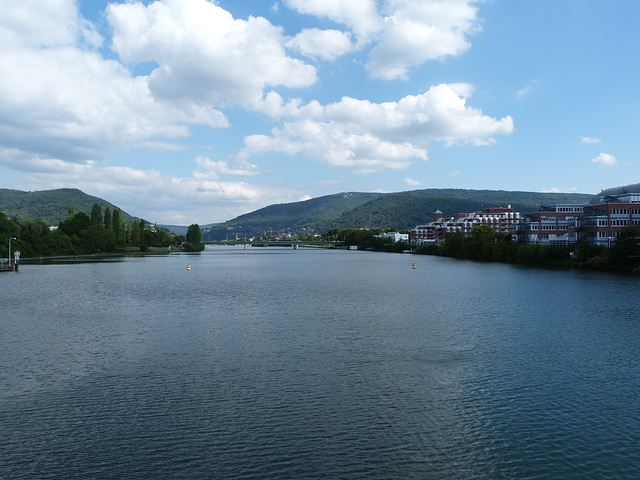 Neckar bei Heidelberg