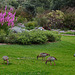 Kirstenbosch  Botanical Garden ZA