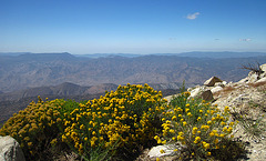 Toro Peak (0494)
