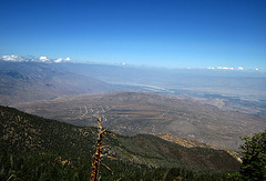Toro Peak View Toward Coachella Valley (0502)