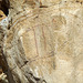 Painted Rock - Carrizo Plain National Monument (0880)