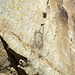 Painted Rock - Carrizo Plain National Monument (0881)