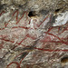 Painted Rock - Carrizo Plain National Monument (0898)