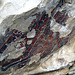 Painted Rock - Carrizo Plain National Monument (0905)