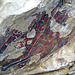 Painted Rock - Carrizo Plain National Monument (0905A)