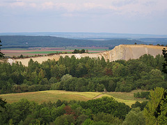 Steilstehende Kalkstein Schichtflächen  im ehem. Steinbruch Langenberg bei Goslar Oker