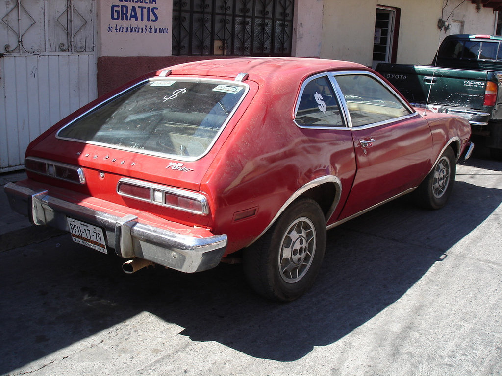 Red Pinto / Pinto rouge / Pinto rojo.