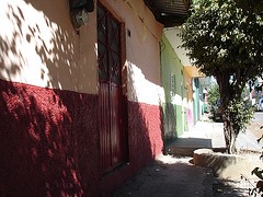 Los Reyes, Michoacán - Mexico /  27 mars 2011