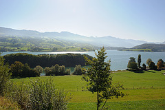 Le lac de Gruyères