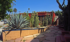 Cactus Garden On Kensington Road (0433)